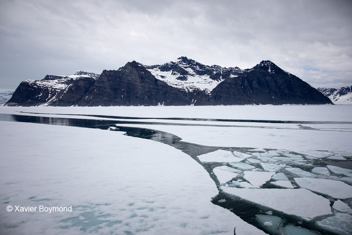 https://arctic.editorial.k8s.pre.scw.apsl.io/use-cases-climate-change.jpg